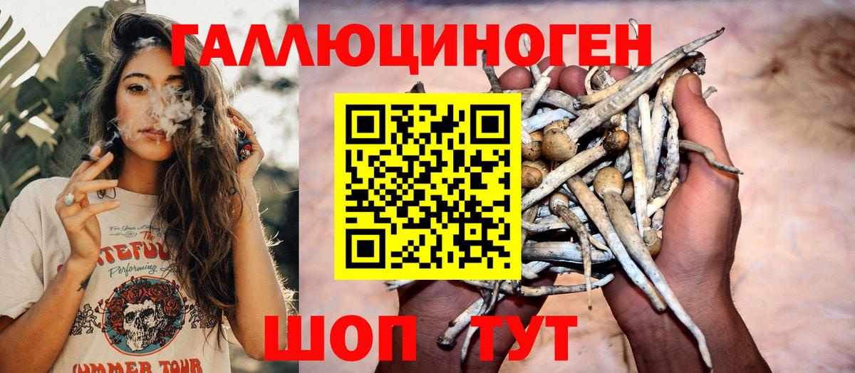 Псилоцибиновые грибы Psilocybine cubensis Отрадное