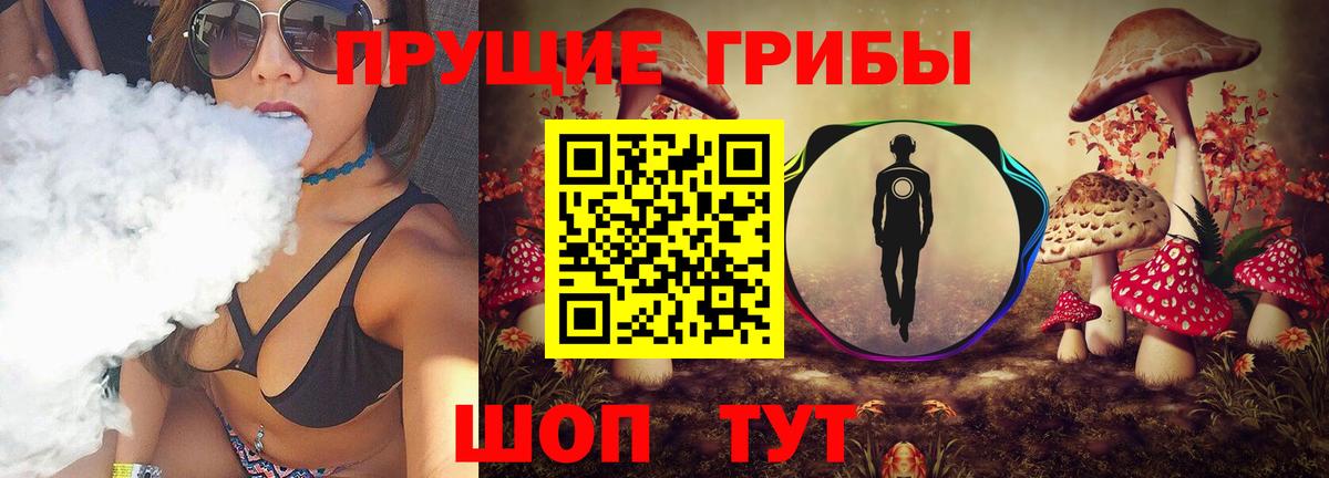 Отрадное  дарнет шоп  Вход с VPN  Псилоцибиновые грибы ЛСД  Галлюциногенные грибы ЛСД 